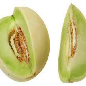 HONEYDEW MELON