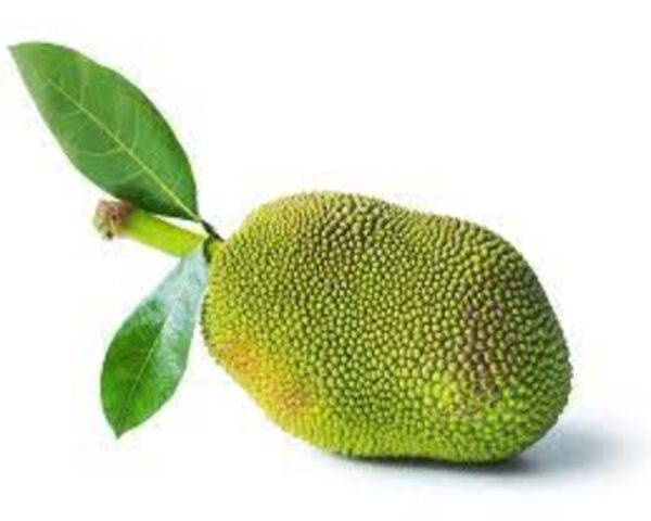JACKFRUIT GREEN