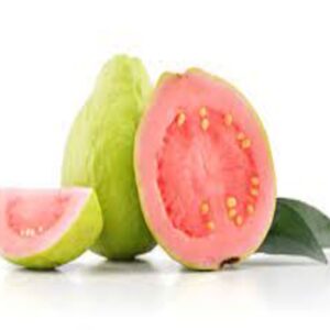 PINK GUAVA