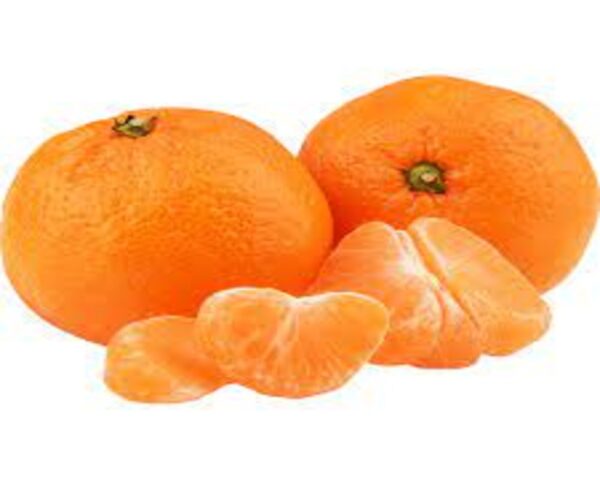 SUNDIA  MANDARIN -ORANGE