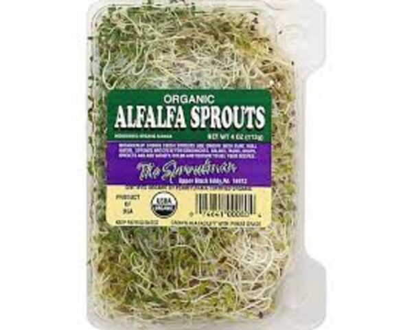SPROUTS ALFALFA ORGANIC