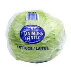 LETTUCE ICEBERG TANIMURA