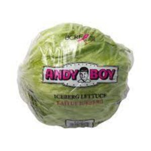 LETTUCE ICEBERG ANDYBOY