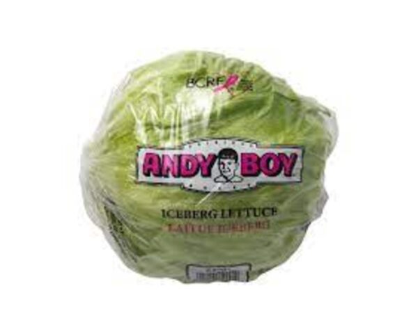 LETTUCE ICEBERG ANDYBOY