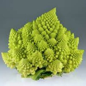 CAULIFLOWER ROMANESCO