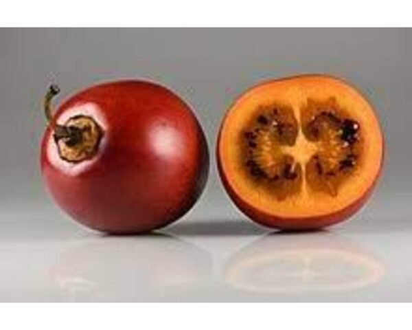 Tamarillo