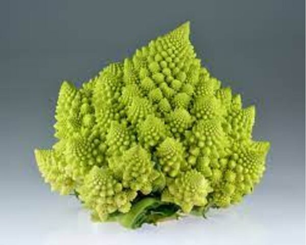 CAULIFLOWER ROMANESCO