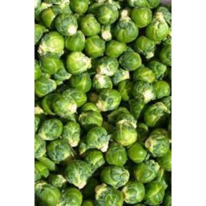 Brussel Sprout
