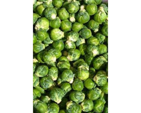 Brussel Sprout
