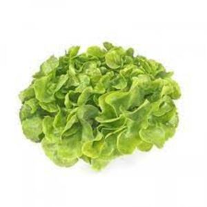 UNWRAPPED GREEN LETTUCE