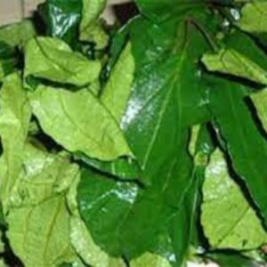 FRZ FLUTED PUMPKIN (UGWU)