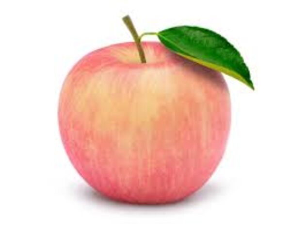FUJI APPLE