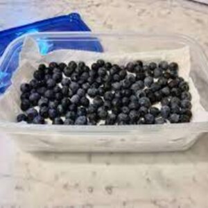 JUST PICKED BLUEBERRIES