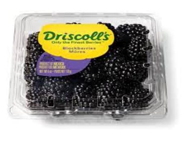 BLACKBERRIES DRISCOLL'S