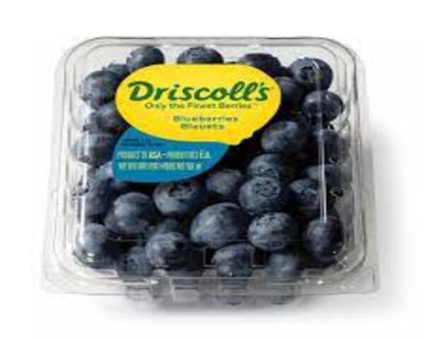 BLUEBERRIES DRISCOLL