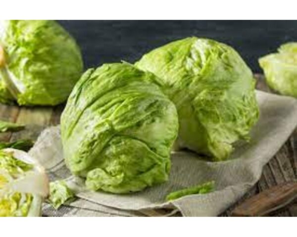CABBAGE ORGANIC CELLO