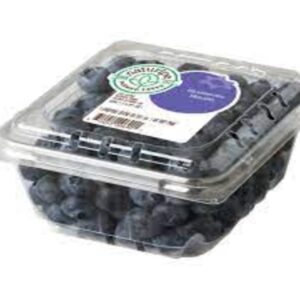 BLUEBERRIES NATURIPE