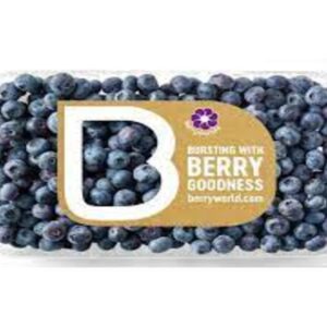 BLUEBERRIES BERRYWORLD
