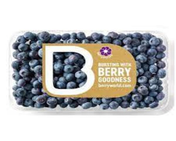 BLUEBERRIES BERRYWORLD