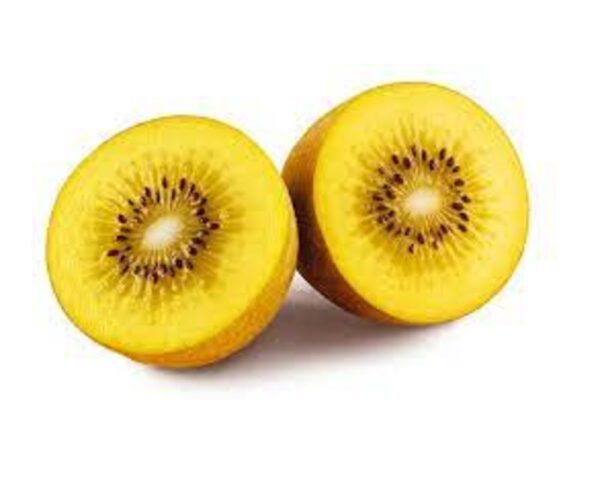 GOLDEN KIWI
