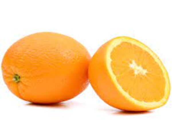 NAVEL ORANGE BULK