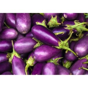 EGGPLANT - PURPLE