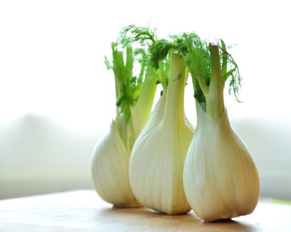 Anise (Fennel)