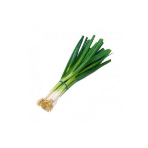 GREEN ONION BUNCH