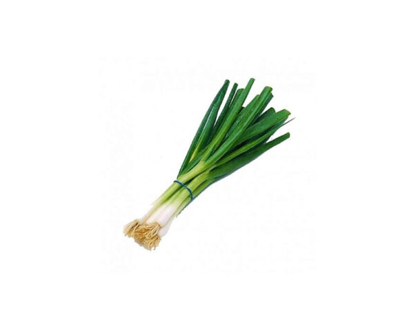 GREEN ONION BUNCH