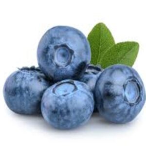 BLUEBERRIES LARGE