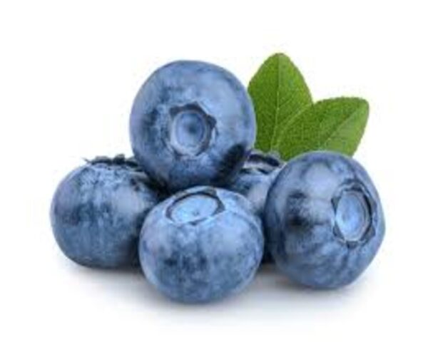 BLUEBERRIES LARGE