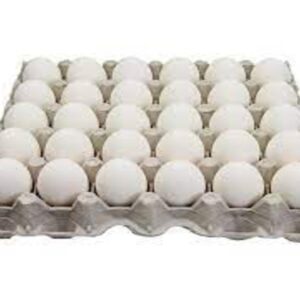 L White Egg Grade A