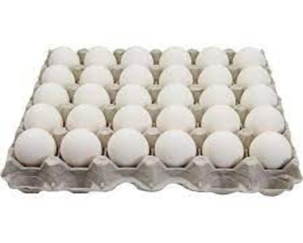 L White Egg Grade A