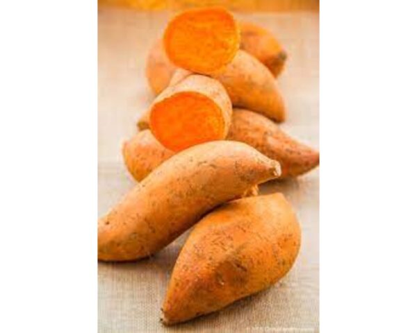 SWEET POTATO YELLOW