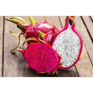 DRAGON FRUIT