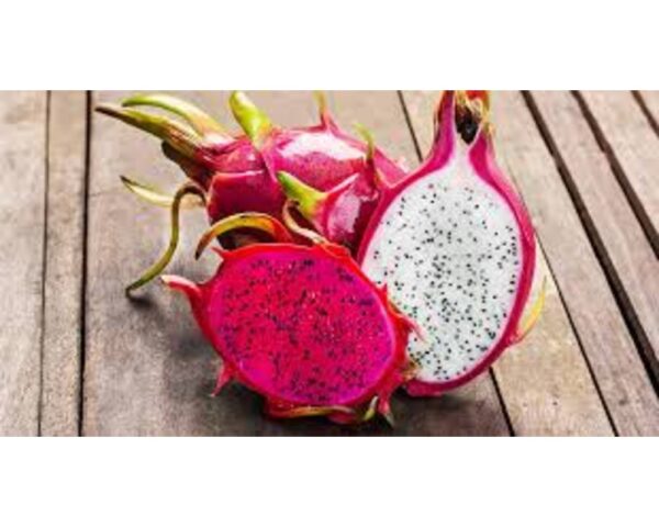 DRAGON FRUIT
