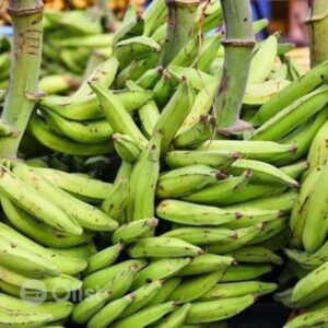 PLANTAIN BULK