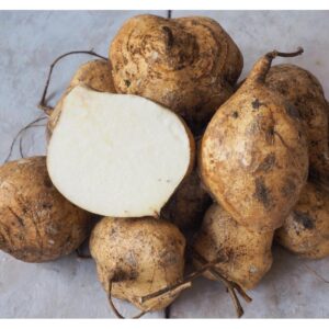 JICAMA