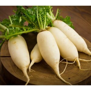 DAIKON RADISH