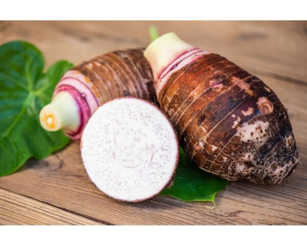TARO ROOT