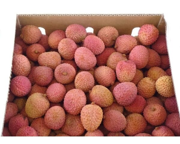 LYCHEE BULK
