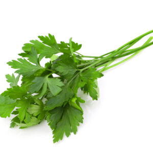Parsley - Italian