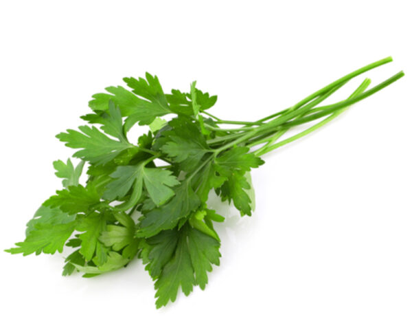 Parsley - Italian