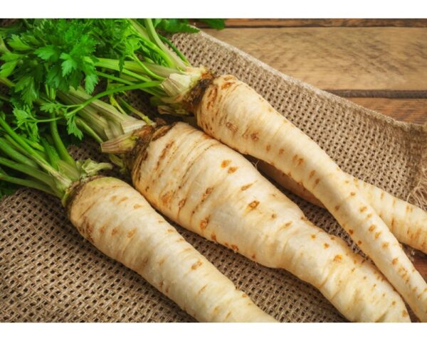 PARSNIPS