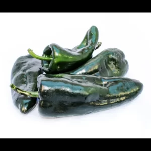 POBLANO PEPPER