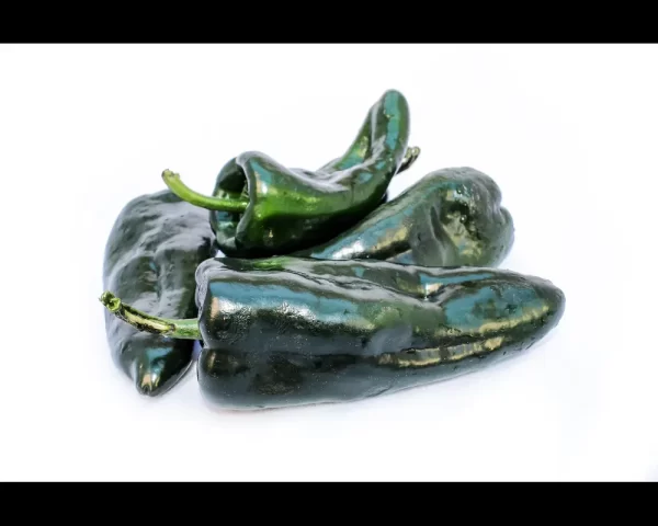 POBLANO PEPPER