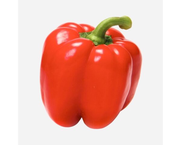 BELL PEPPER RED