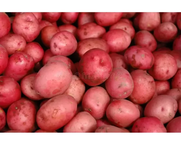 RED POTATO BULK