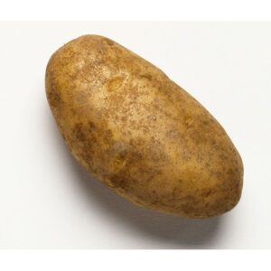 RUSSET POTATO
