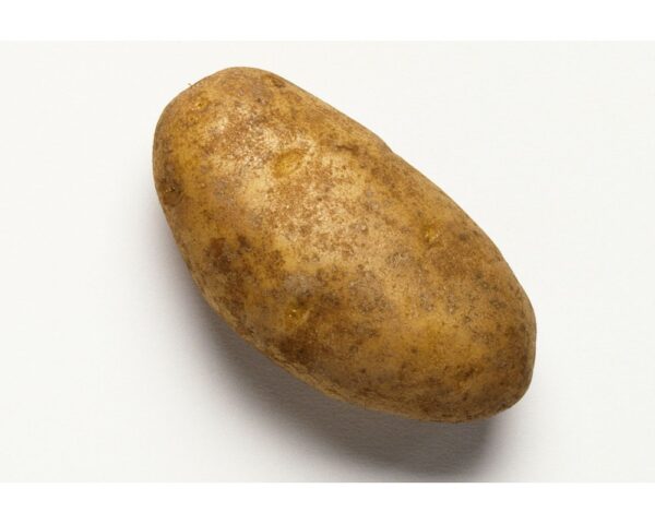 RUSSET POTATO